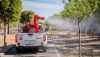Roquetas de Mar contin&uacute;a la fumigaci&oacute;n contra la plaga de mosquitos