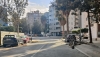 &Aacute;rbol ca&iacute;do por el viento en Almer&iacute;a.