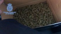 Detienen a dos hombres por enviar marihuana a B&eacute;lgica mediante paqueter&iacute;a