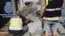 Transportaba 220 kilos de marihuana ocultos entre hortalizas en mal estado