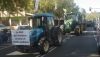 El sector agrario almeriense se manifestar&aacute; en Sevilla para pedir soluciones a la crisis