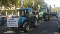 El sector agrario almeriense se manifestar&aacute; en Sevilla para pedir soluciones a la crisis