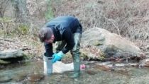 La UAL estudia las consecuencias de las actuaciones forestales