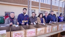 El GEM reparte 1.500 parras de variedades hist&oacute;ricas de uva de mesa
