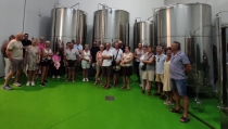 M&aacute;s de cien personas participan en la II Jornada Pulpile&ntilde;a de OleoAlmanzora