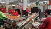 Andaluc&iacute;a incentiva con hasta 10.000 euros la incorporación de trabajadores a cooperativas