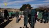 Investigan a la responsable de una finca de Antas por maltrato animal