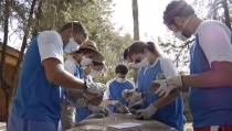 El IAJ abre el plazo de preinscripci&oacute;n para los Campos de Voluntariado
