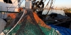 Pesca muestra su apoyo al sector del arrastre y el palangre de fondo
