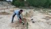 Pulp&iacute; lleva a cabo la plantaci&oacute;n y mejora de zonas verdes en el municipio