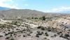 El yacimiento arqueol&oacute;gico de Terrera Ventura en Tabernas ya es Bien de Inter&eacute;s Cultural