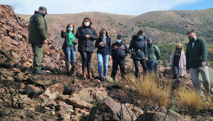 Berja tendr&aacute; proyecto de restauraci&oacute;n ambiental de la zona afectada por el incendio