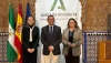 La Junta pide al Gobierno m&aacute;s inversiones para reforzar la red de transporte el&eacute;ctrico en Almer&iacute;a
