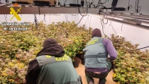 Se intensifica la lucha contra el cultivo 'indoor' de marihuana en Almer&iacute;a