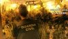 Encuentran un cad&aacute;ver en una vivienda que escond&iacute;a una plantaci&oacute;n de marihuana