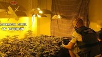 Intervienen en Garrucha un cultivo indoor de marihuana y detienen al responsable