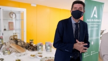 Andaluc&iacute;a espera una ocupaci&oacute;n del 70% en los establecimientos hoteleros esta Semana Santa
