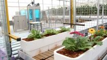 Cajamar y Agbar promover&aacute;n trabajos innovadores en gesti&oacute;n del agua