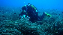 25 millones para proyectos de I+D en ciencias marinas, astrof&iacute;sica, biotecnolog&iacute;a y biodiversidad