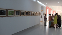 El colectivo fotogr&aacute;fico Desencuadre expone sus 'Desconexiones' en el CIP