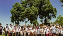 Cosentino organiza actividades por el D&iacute;a del Medio Ambiente