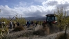 AlVelAl, Premio Roger Kaufman 2026 por su impacto social y ambiental
