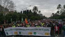 Agricultores y ganaderos exigen medidas pol&iacute;ticas y fiscales para frenar la crisis del campo